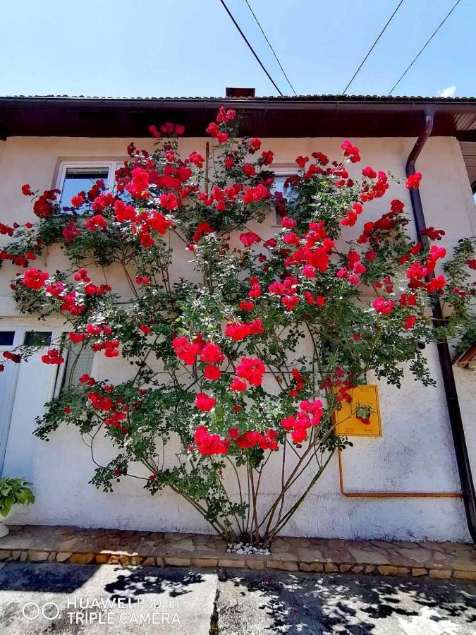 Hotel Modern&Cozy Bosnian House With Garden+Free Parking Sarajevo Exterior foto