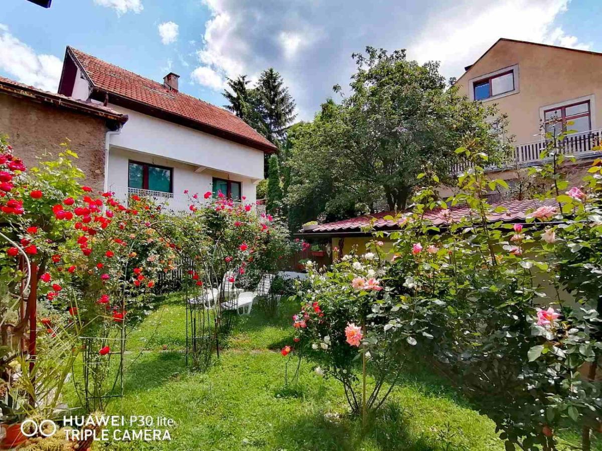 Hotel Modern&Cozy Bosnian House With Garden+Free Parking Sarajevo Exterior foto