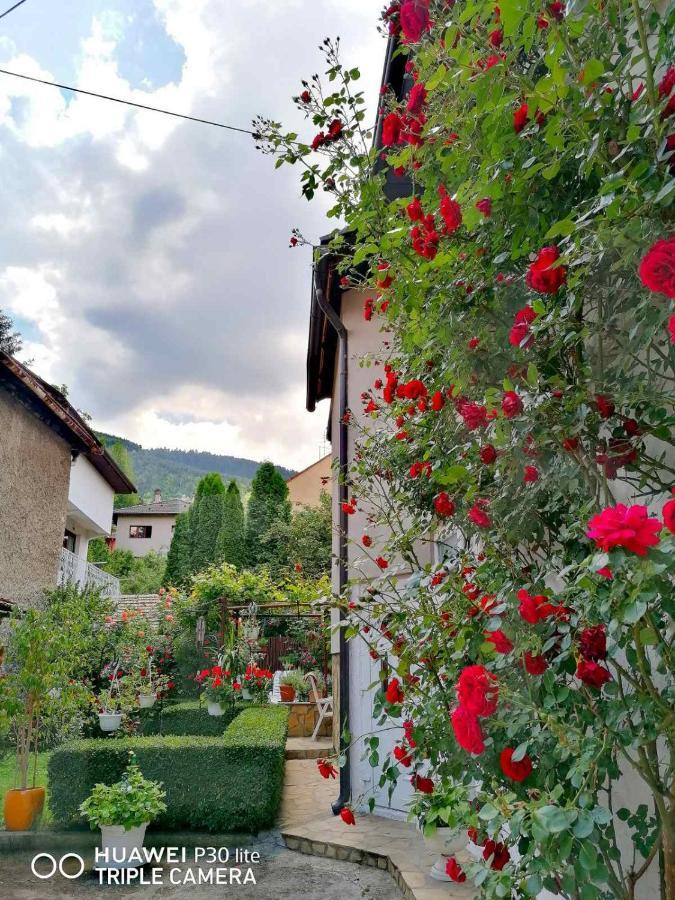 Hotel Modern&Cozy Bosnian House With Garden+Free Parking Sarajevo Exterior foto